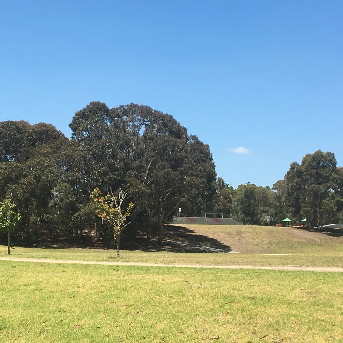 Monterey Community Park
