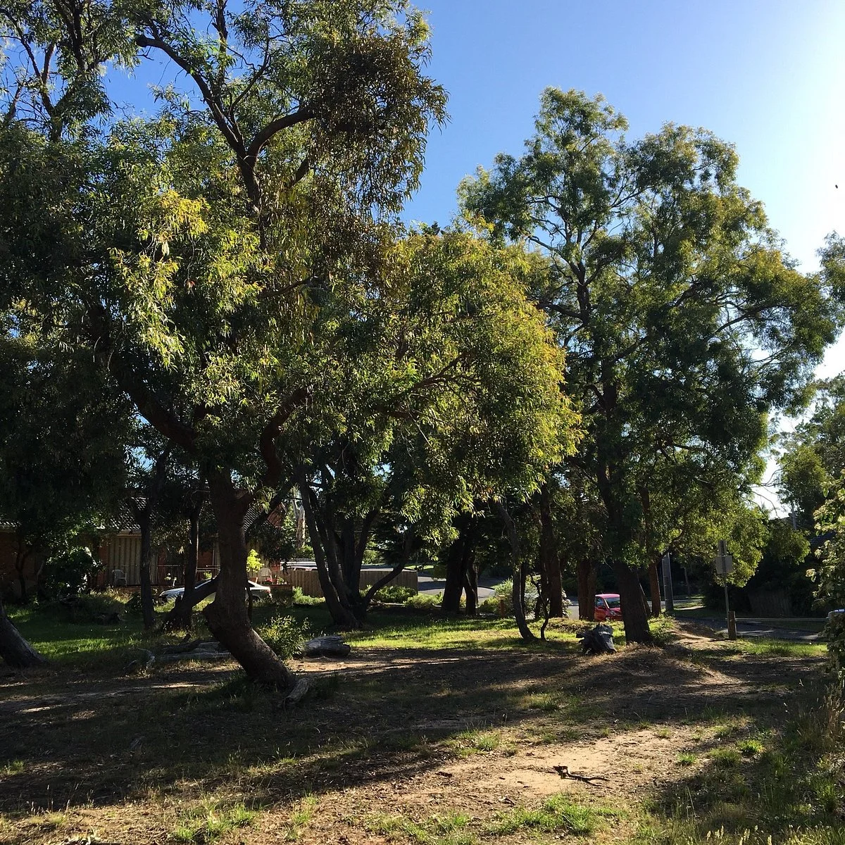 Wallace Reserve
