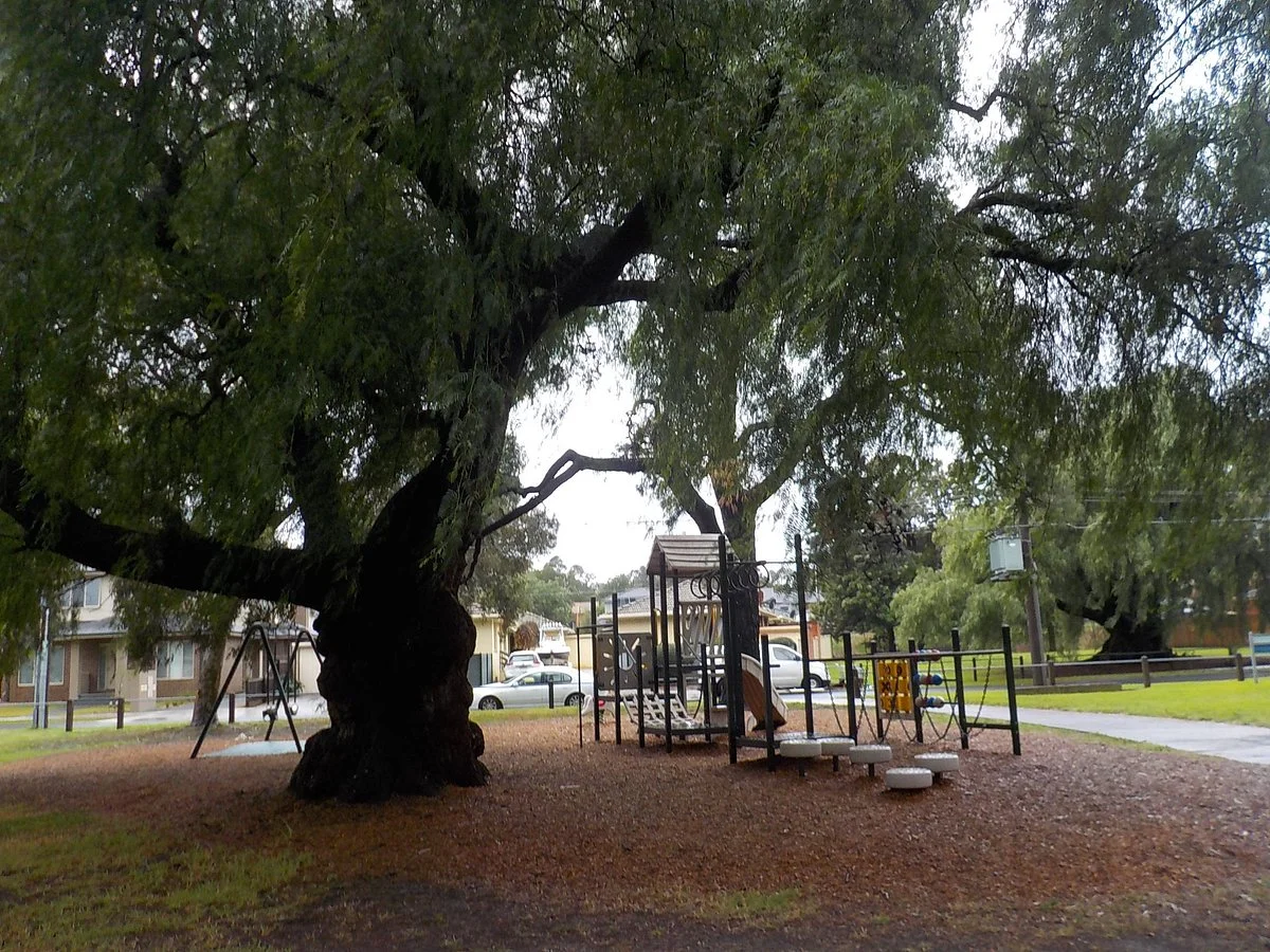 Payne Reserve