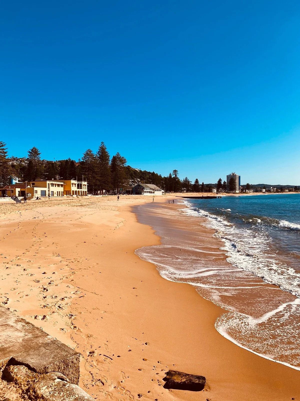 Collaroy Beach