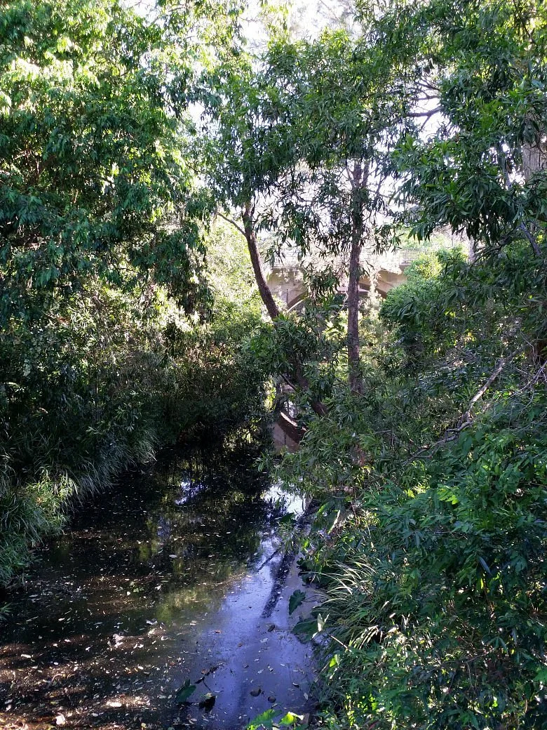 Walton Bridge Reserve