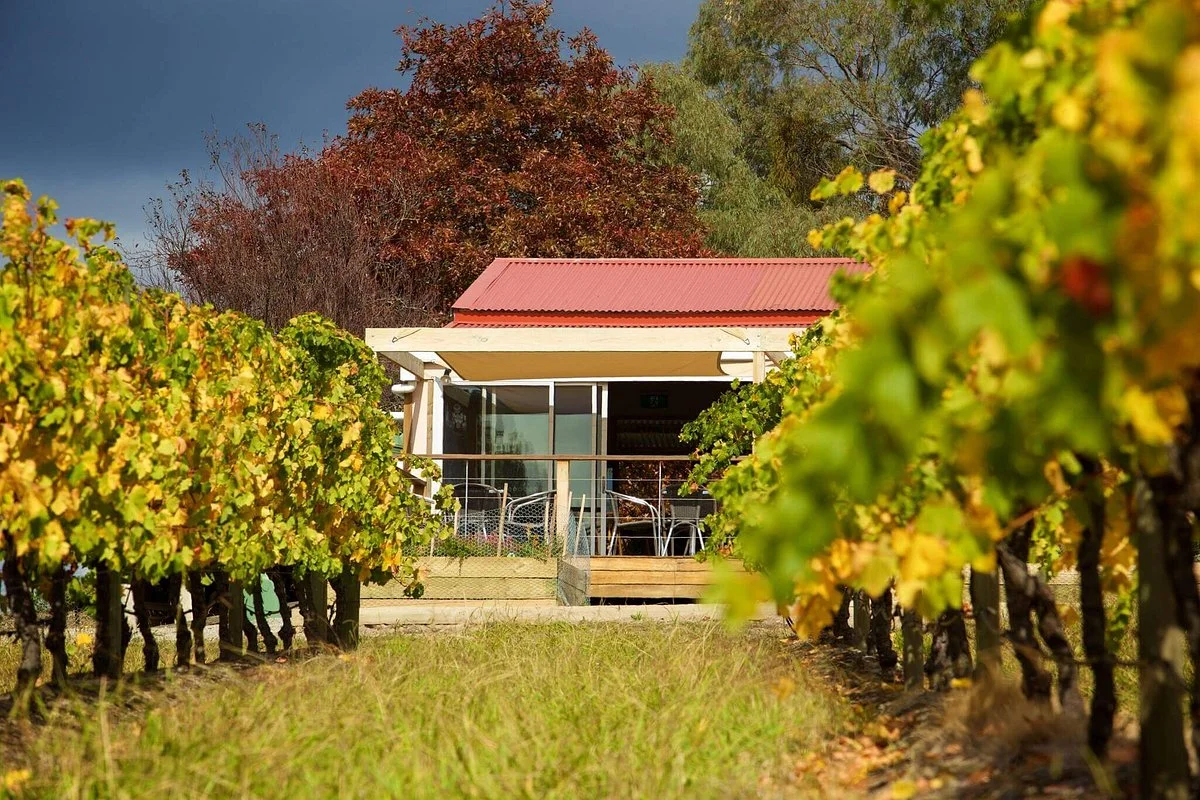 Squitchy Lane Vineyard