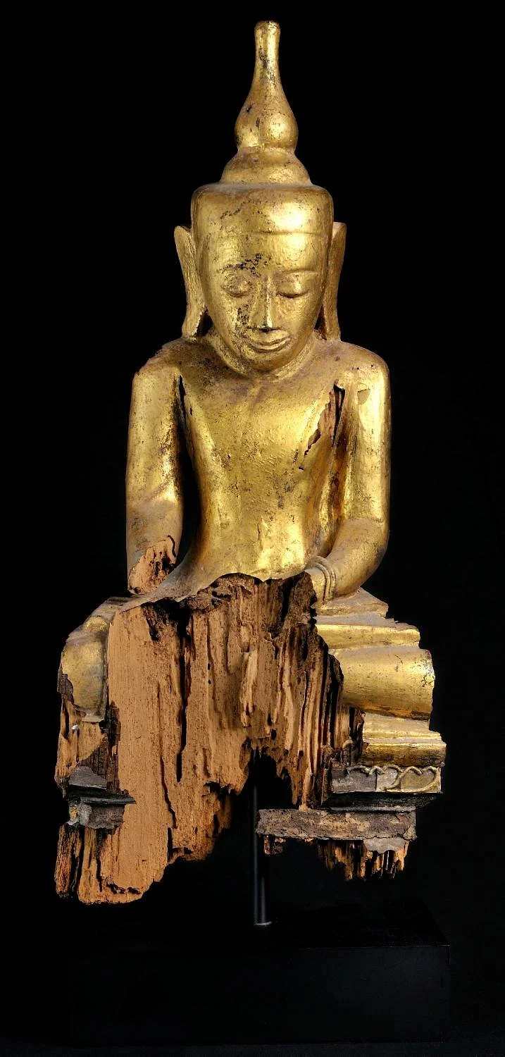 Buddha Gallery
