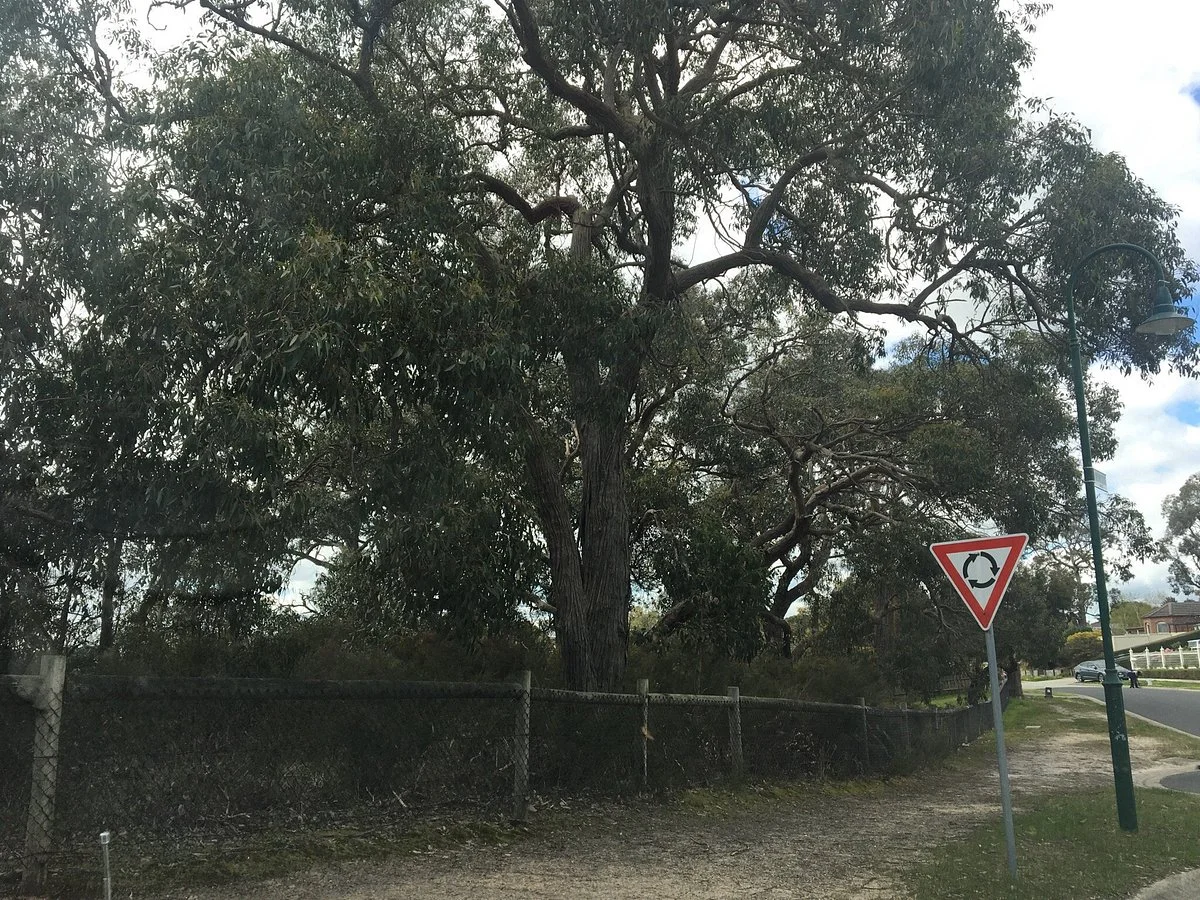 Monique Bushland Reserve