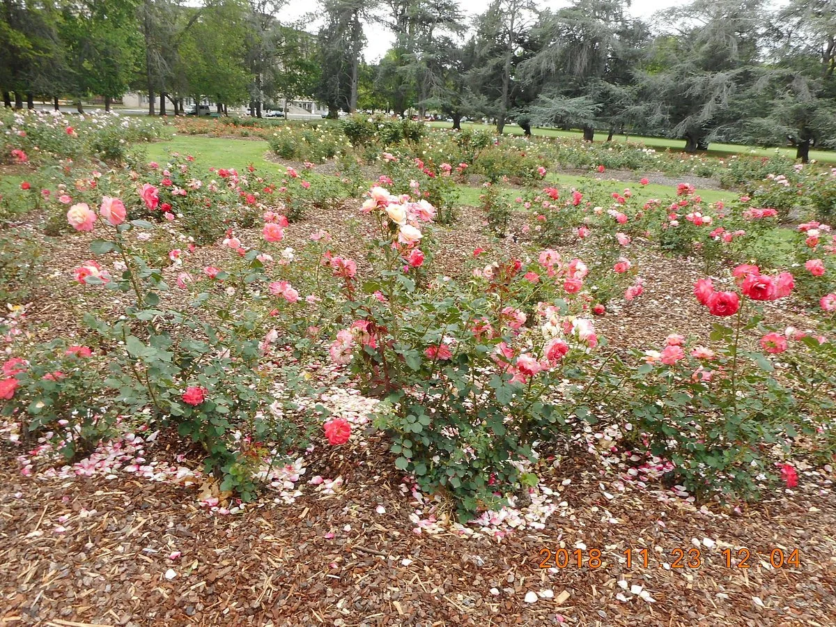 National Rose Gardens
