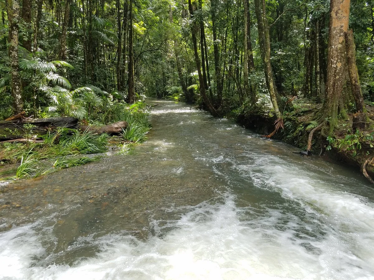 Ulidarra National Park