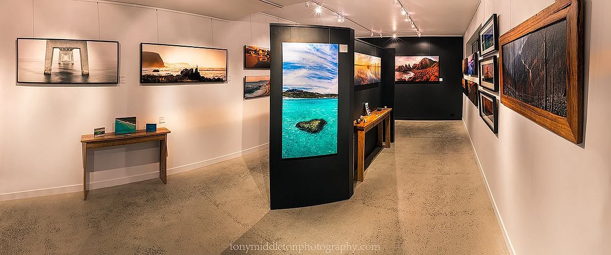 Wildcoast Images Gallery