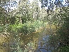 Banksia Park