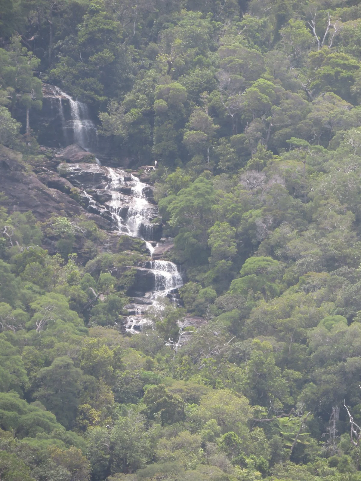 Cascade De Colnett