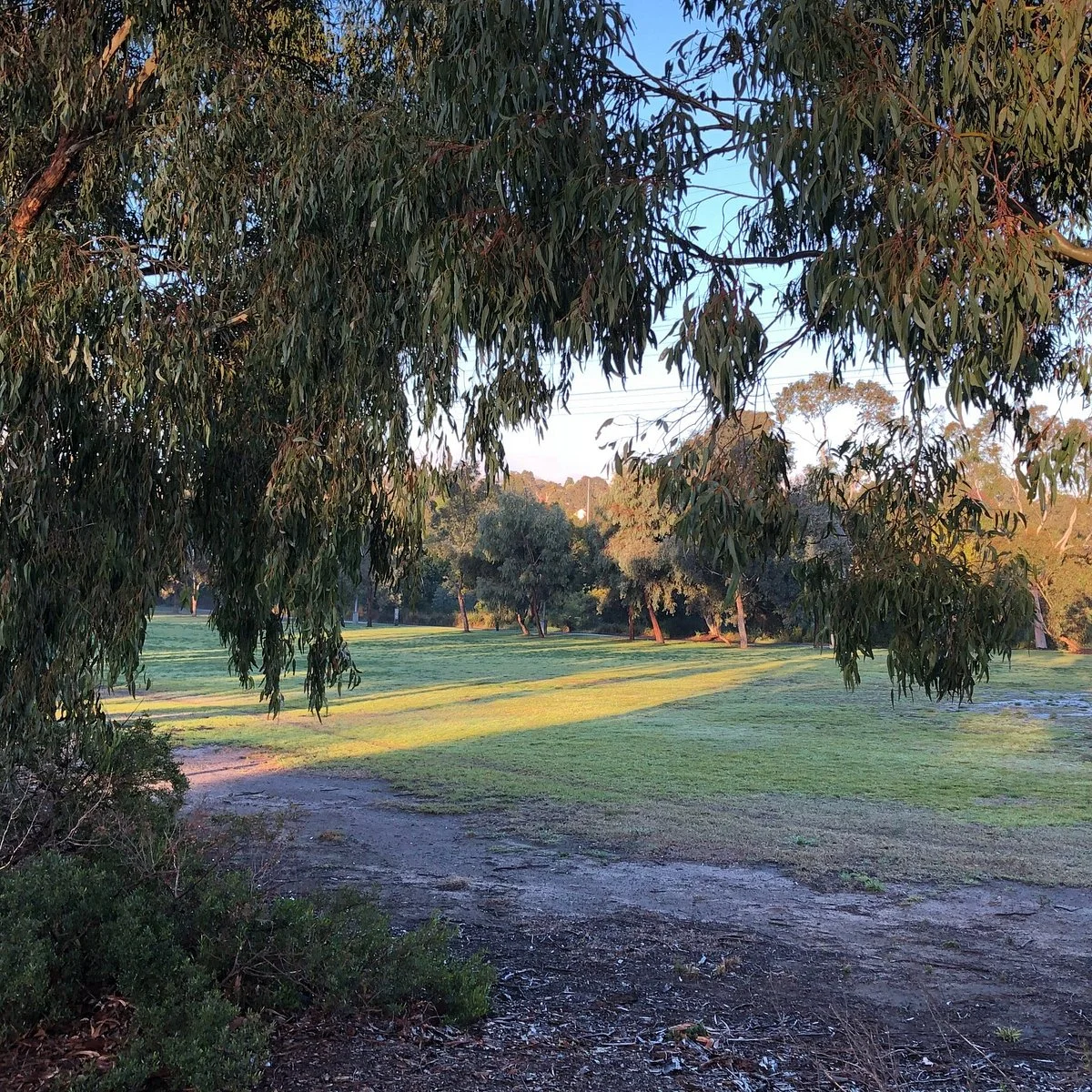 Patterson Reserve