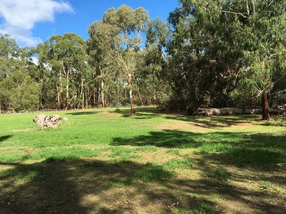 Wingrove park