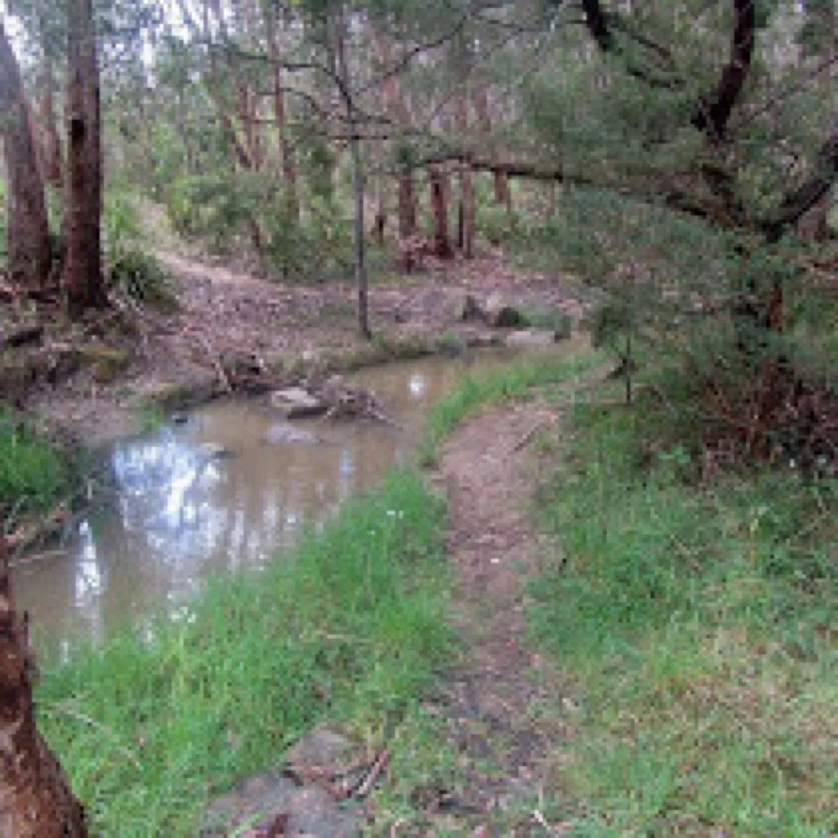 Bungalook Reserve