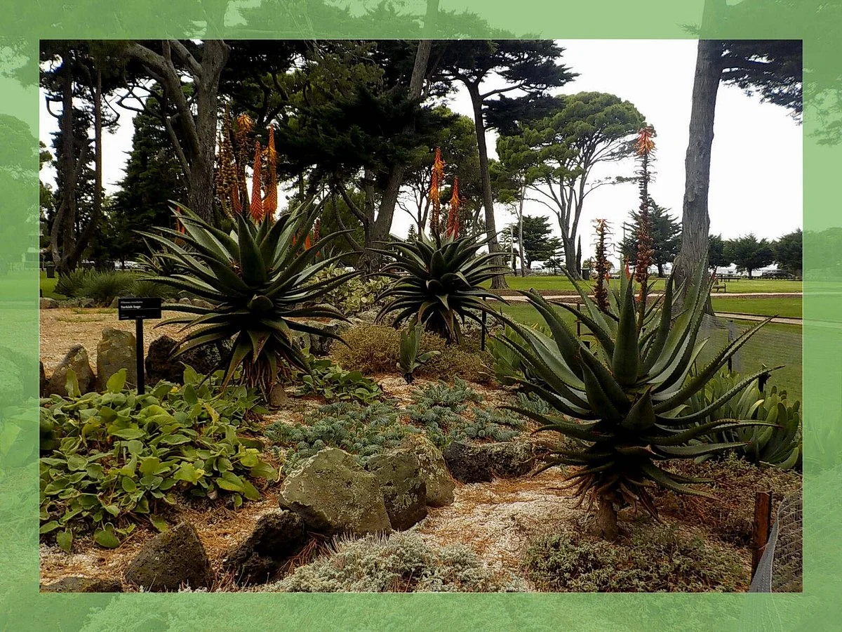 L A Parker Reserve