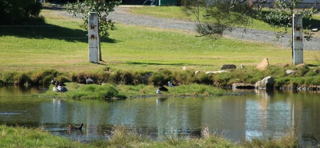 Osprey Environmental Centre Brisbane