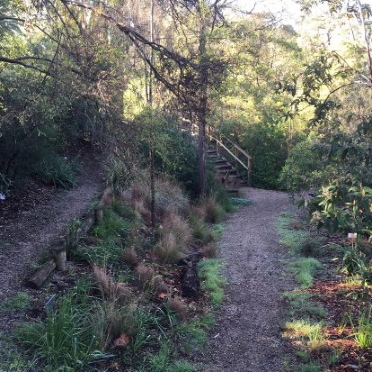 Wurundjeri Garden