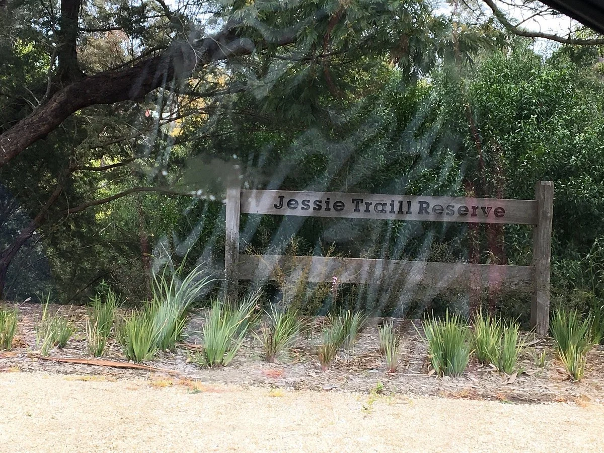 Jessie Traill Nature Reserve