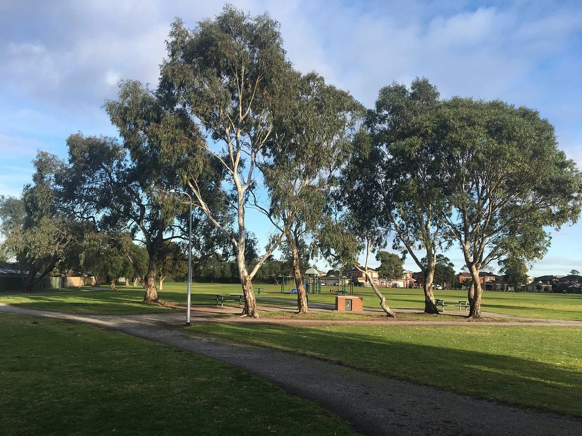 Alan Corrigan Reserve