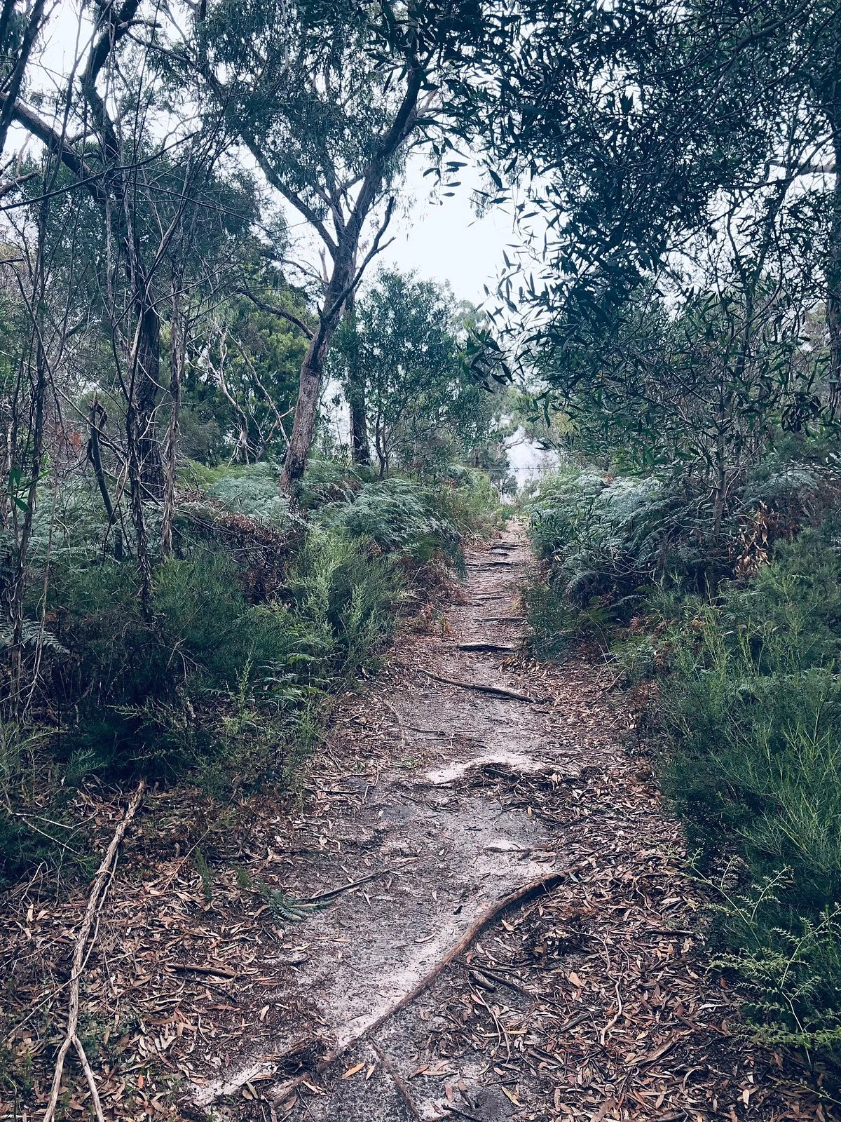 Studio Park Reserve