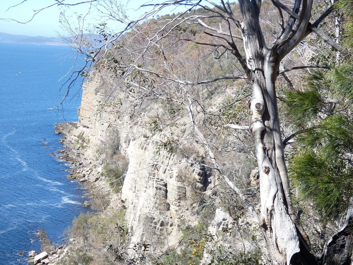 Alum Cliffs Track