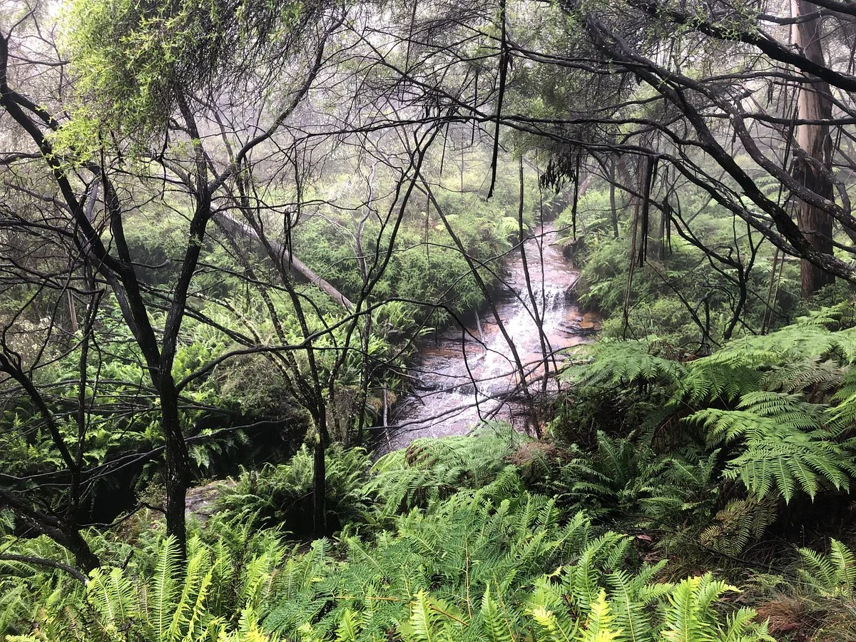 Popes Glen Track