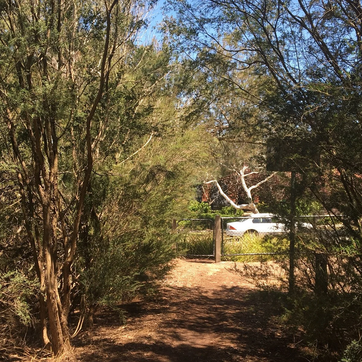 Escarpment Reserve