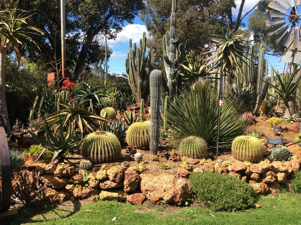 Owys Garden