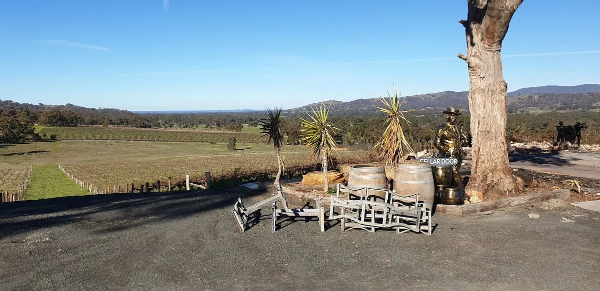 Warrenmang Vineyard