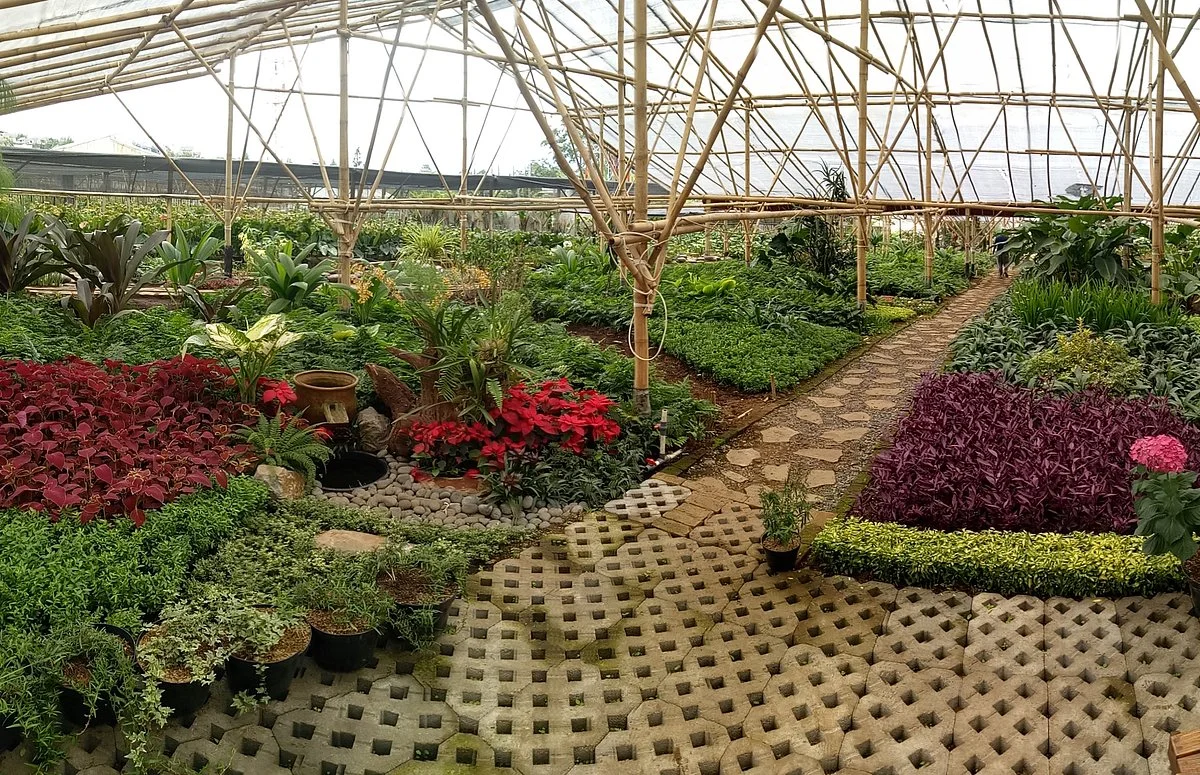 Grace Rose Farm