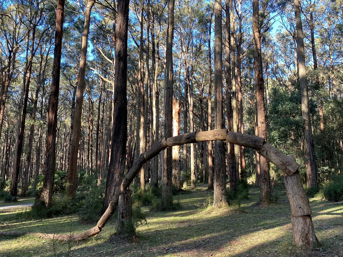 Toolangi Sculpture Trail