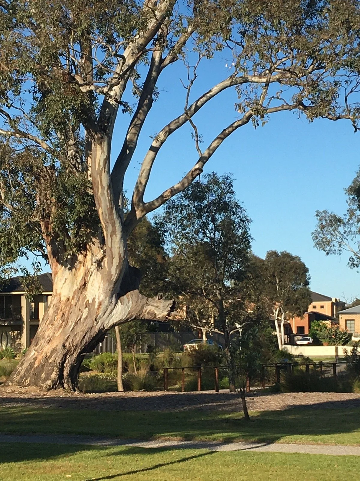 Donnici Reserve