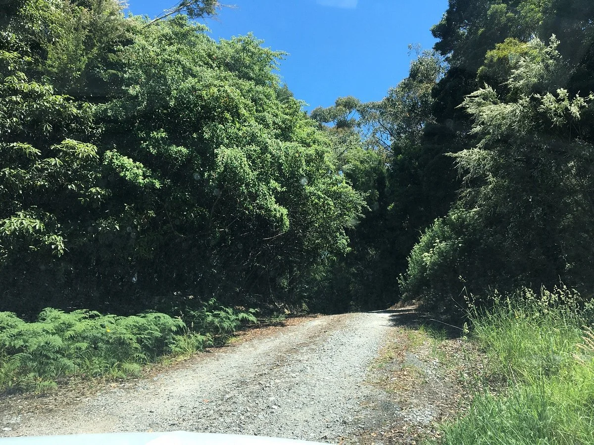 Foster Flora Reserve