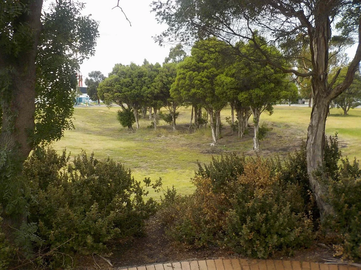 Newport Park