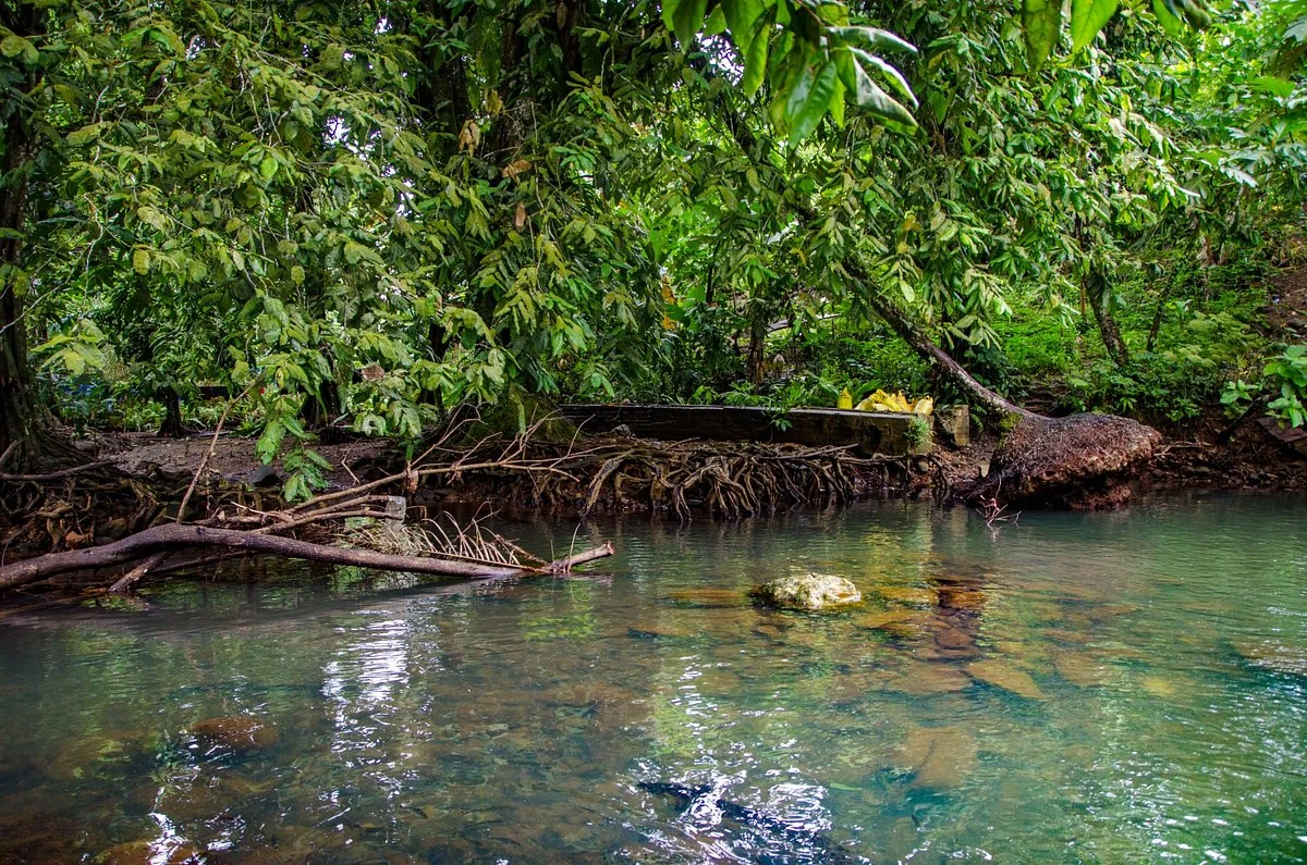 Pilen Seleur Eel Pools