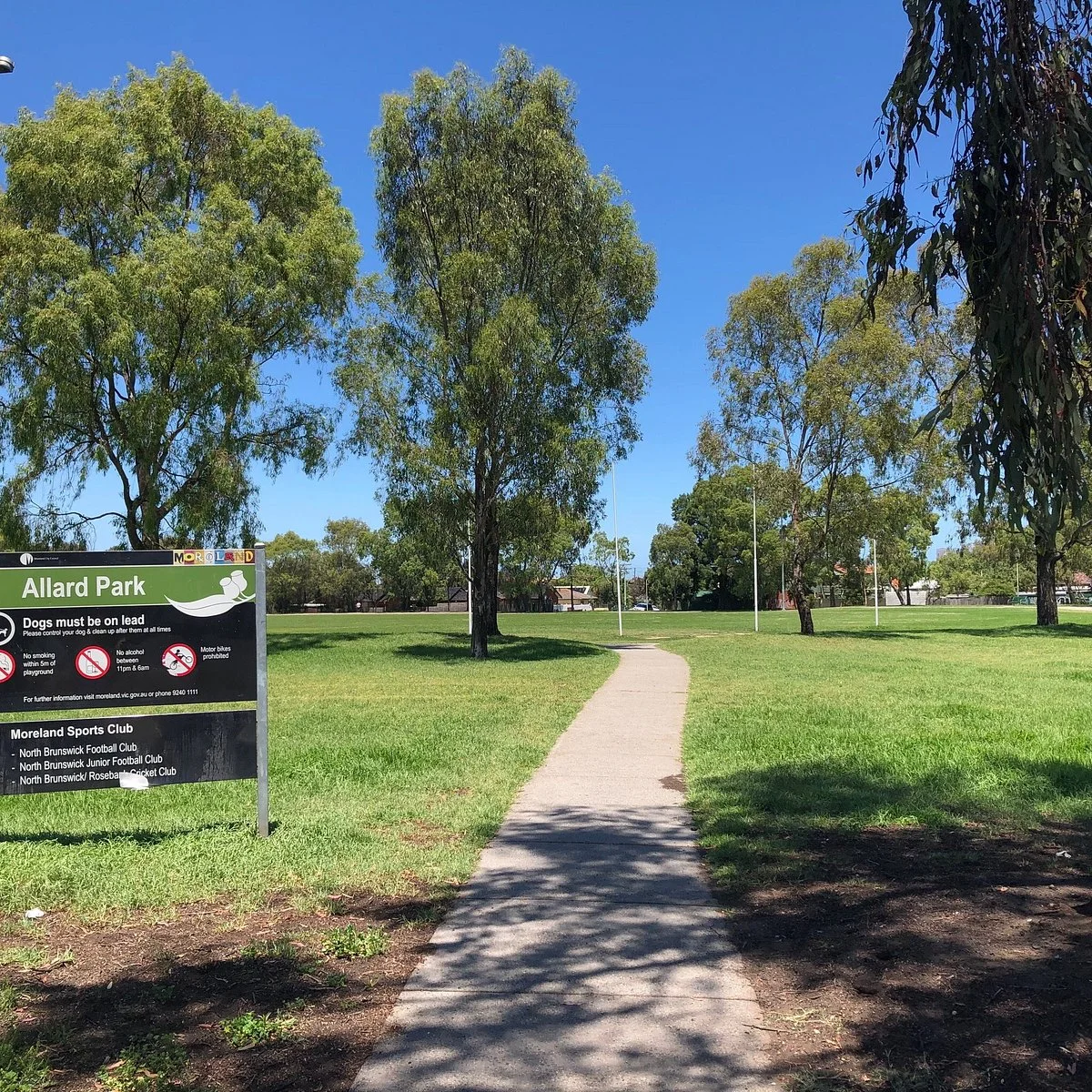 Allard Park