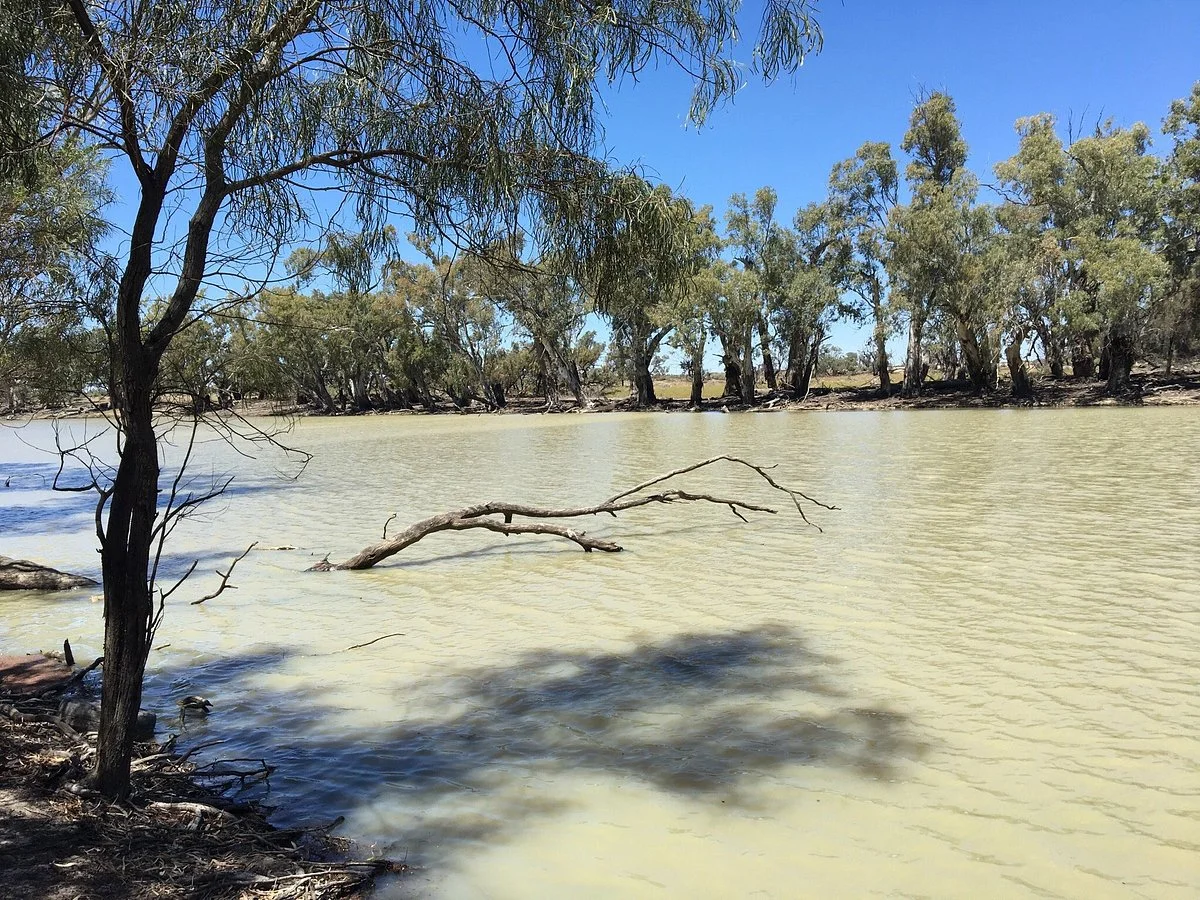 Great Darling Anabranch