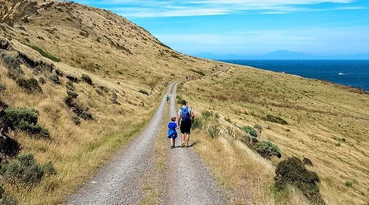 Whakanui Track