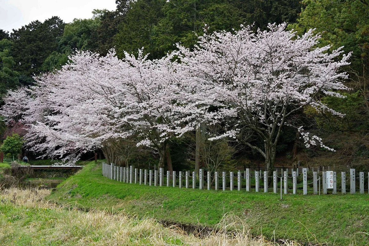 Murayama Shrine
