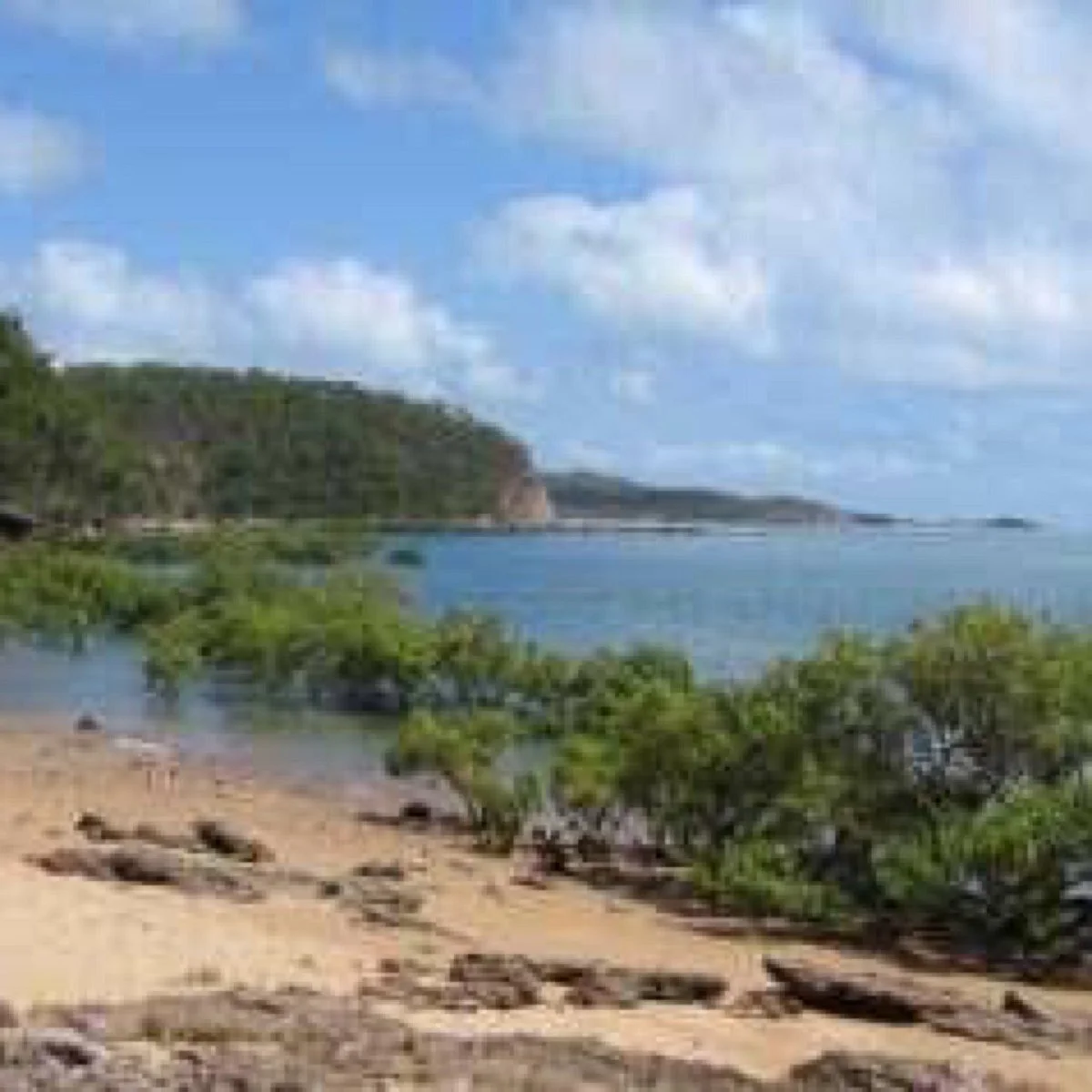 Newry Islands National Park