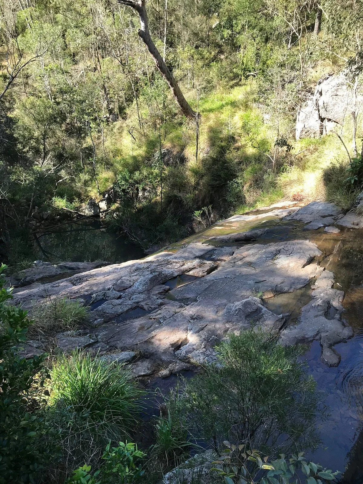 Mt Coot-Tha