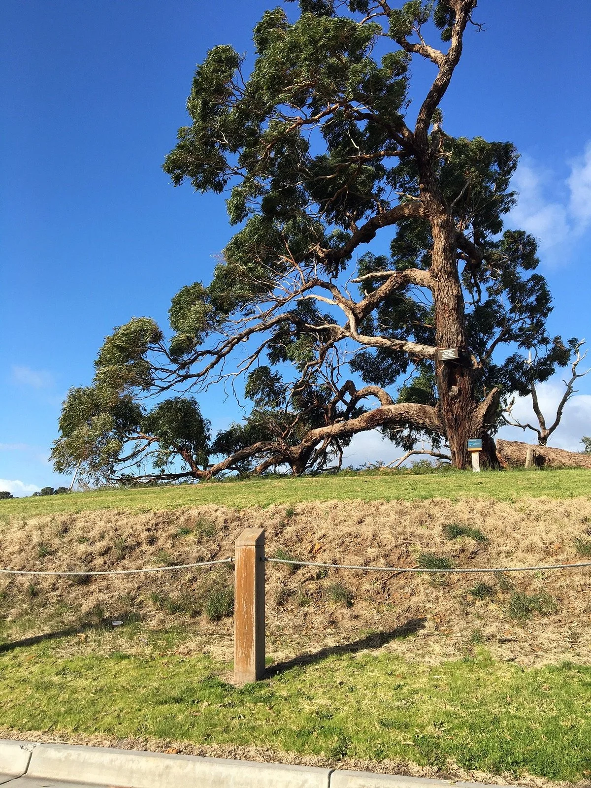 Hilltop Nature Reserve