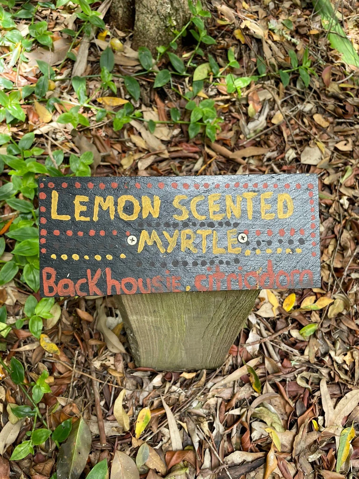 Wigay Aboriginal Cultural Park