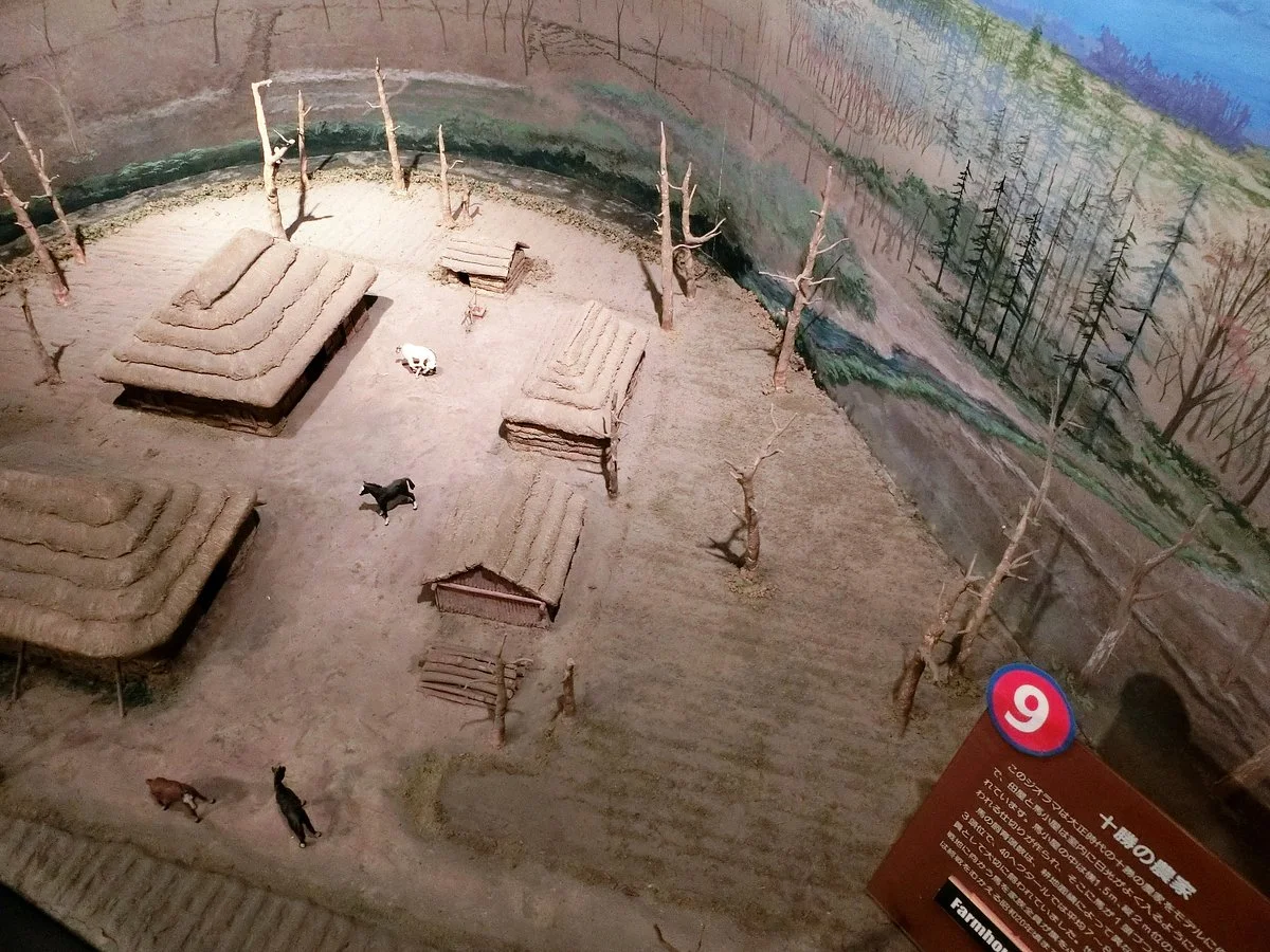 Horse Museum