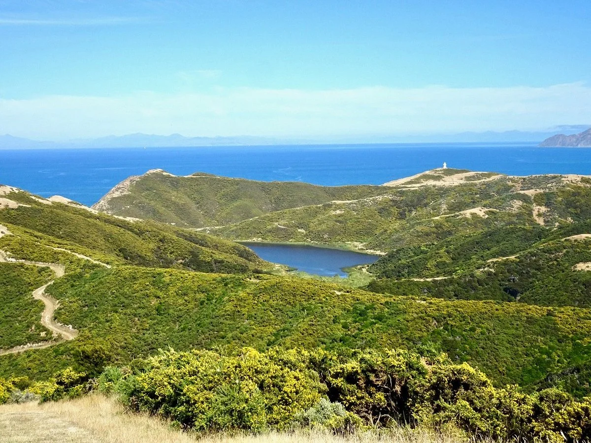 East Harbour Regional Park