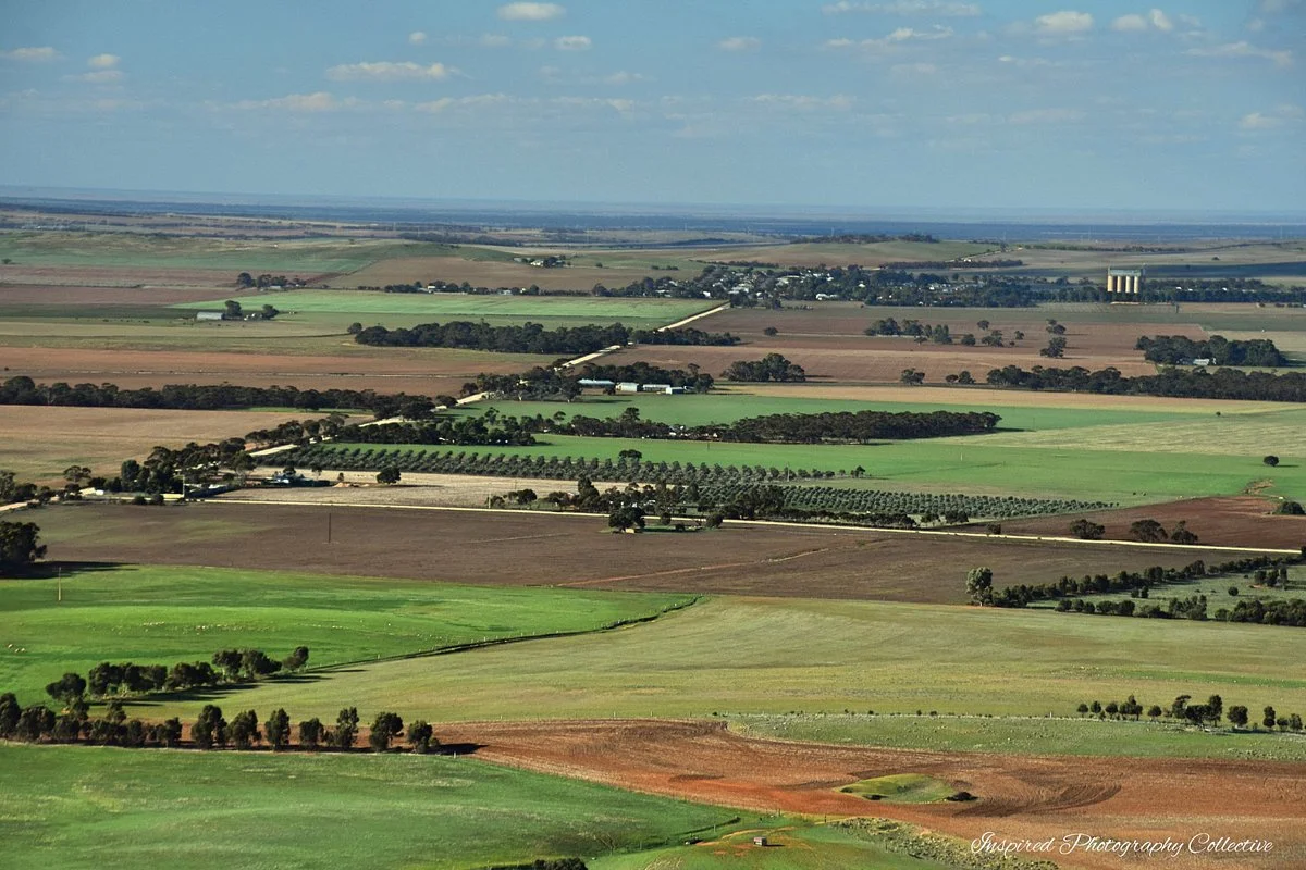 Goyder's Footsteps