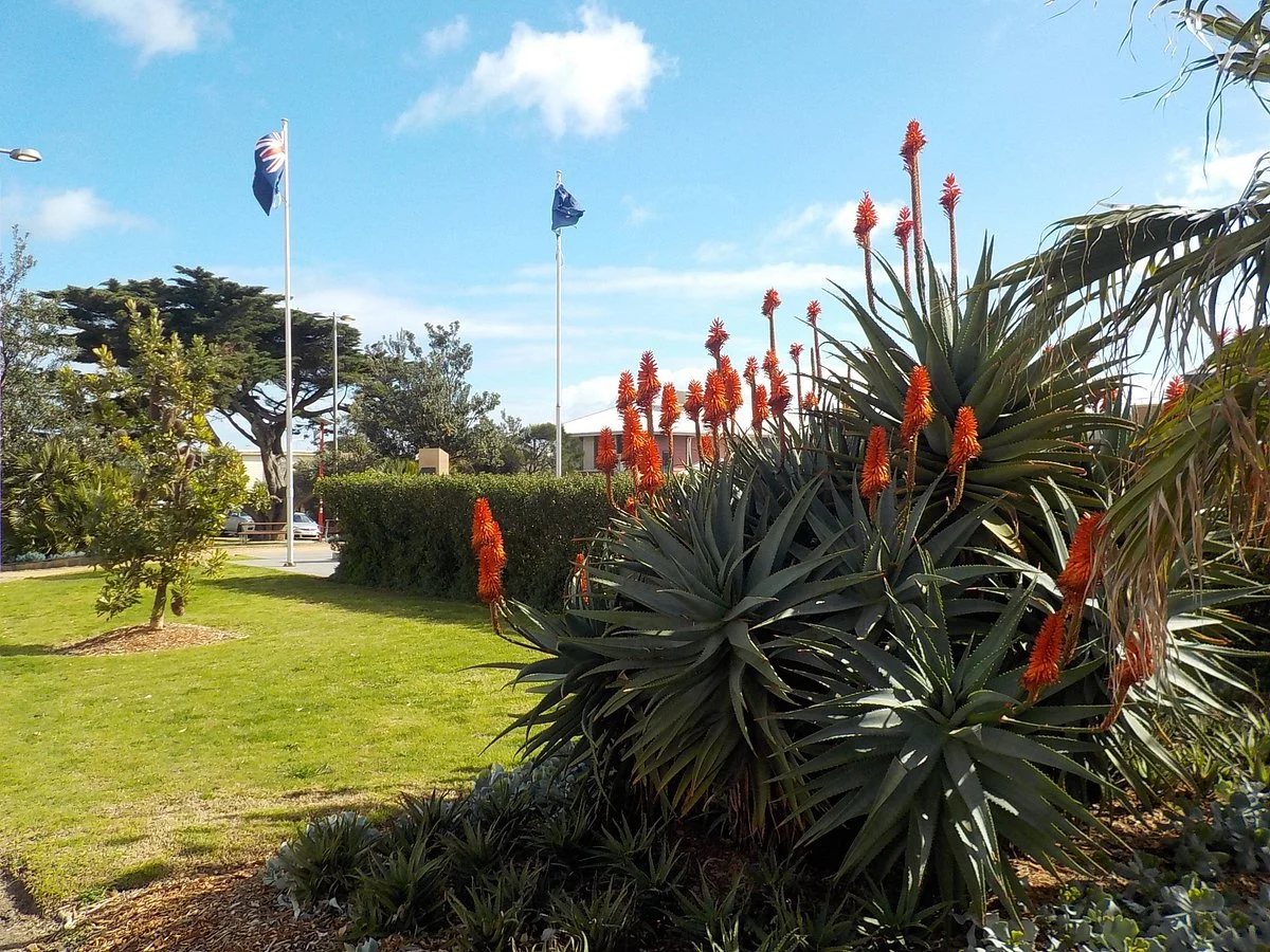 Beesen Reserve