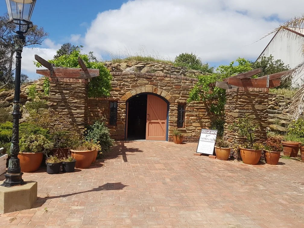 The Wilson Vineyard