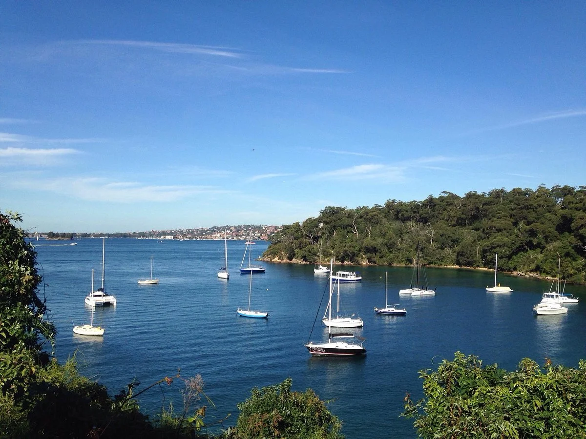 Bradleys Head Trail