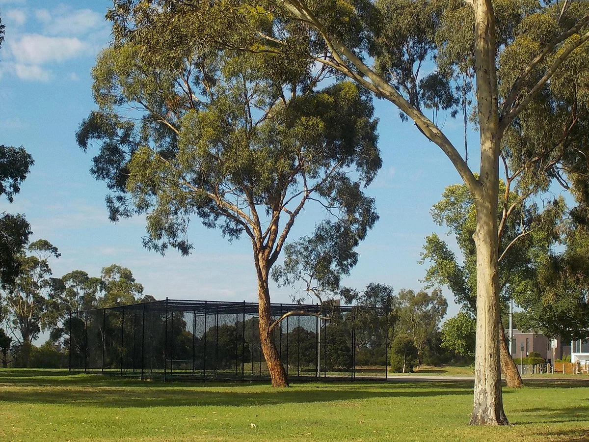 Hall Reserve
