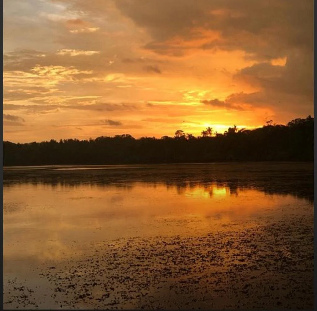 Mawella Bird Sanctuary Bird Watching