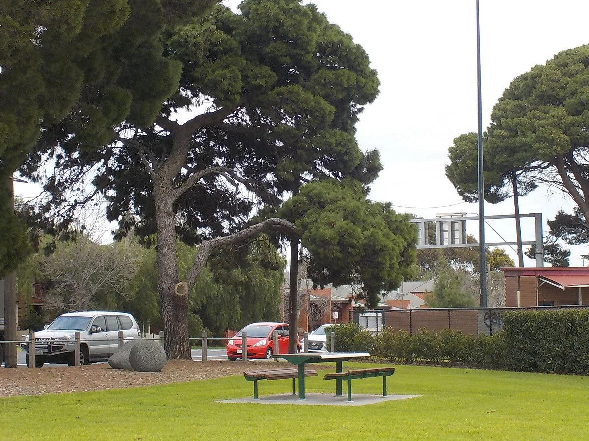 Newmarket Reserve